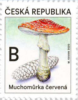 Poštovní známka ČR č. 1071 - Muchomůrka červená